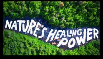 Epic Earthscapes: A Showcase of Nature's Grandeur