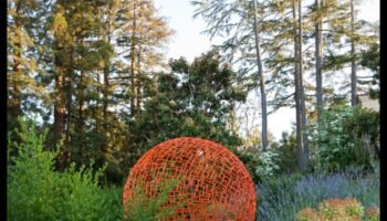 Nature's Palette: Ενισχύοντας την όαση σας με την τέχνη του κήπου