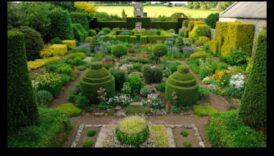 Πέταλα και ανάπτυξη Ένα μετακινήσεις στη στοχαστική φροντίδα του κήπου 2 Πέταλα και πρόοδος: Ένα ταξίδι στη στοχαστική φροντίδα του κήπου