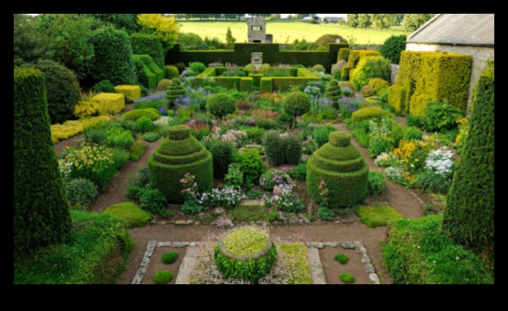 Πέταλα και πρόοδος: Ένα ταξίδι στη στοχαστική φροντίδα του κήπου