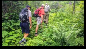 Πλοηγηθείτε στη φύση: Αγκαλιάστε την ύπαιθρο με φιλικές προς το περιβάλλον ταξιδιωτικές συμβουλές