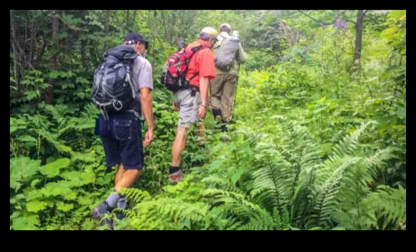 Πλοηγηθείτε στη φύση: Αγκαλιάστε την ύπαιθρο με φιλικές προς το περιβάλλον ταξιδιωτικές συμβουλές