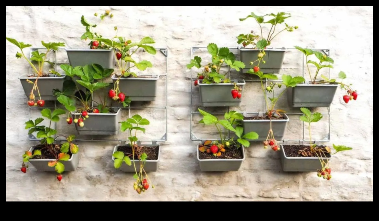 Το City Blooms καλλιεργεί το δικό σας φαγητό σε μικρούς χώρους 1 City Blooms: Urban Gardening Tips για μικρούς χώρους