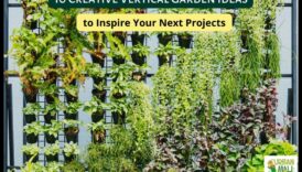 Φτάνοντας προκάλεσε Νέους Ορίζοντες Κατακόρυφα θαύματα κηπουρικής που μπορείς σας εμπνεύσουν 1 Reaching New Horizons: Vertical Gardening Wonders