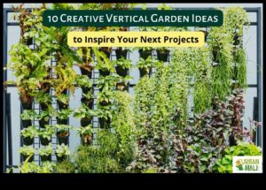 Reaching New Horizons: Vertical Gardening Wonders