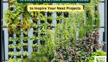 Reaching New Horizons: Vertical Gardening Wonders