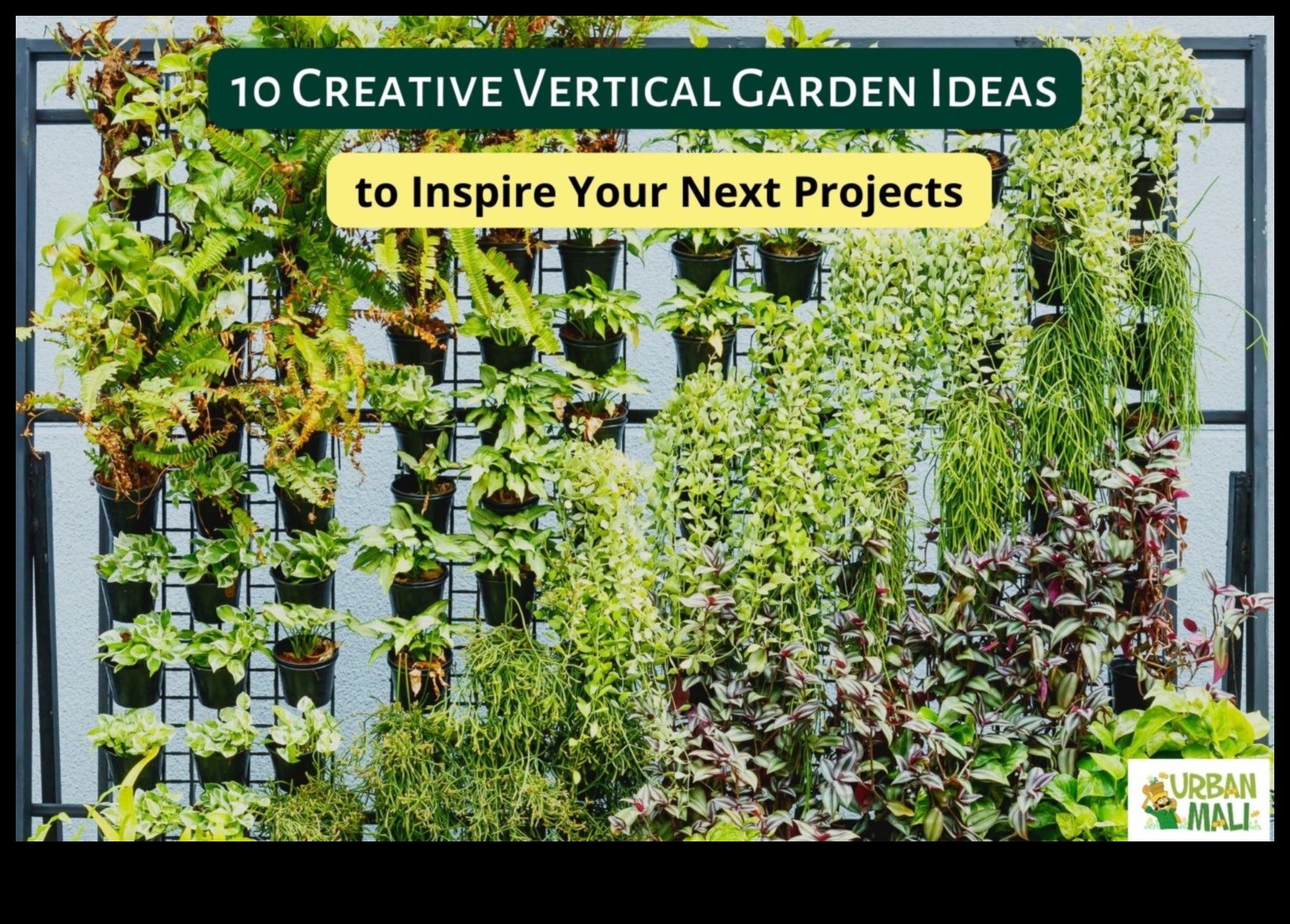 Reaching New Horizons: Vertical Gardening Wonders